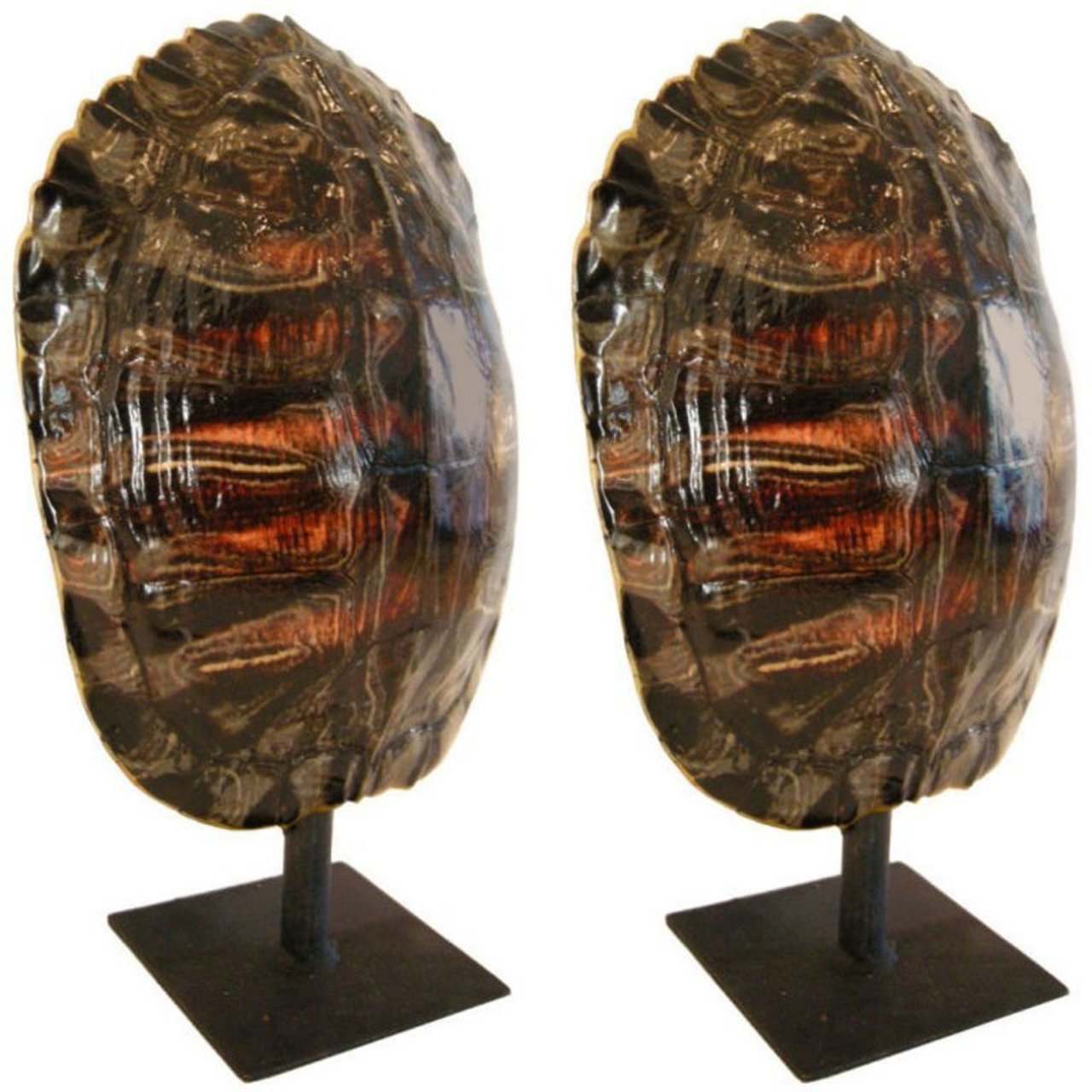 turtle shell lamps