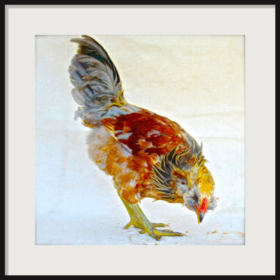 Category Art Pamela Lerner Home and Design Shop Art at Pamela Lerner Home and Design